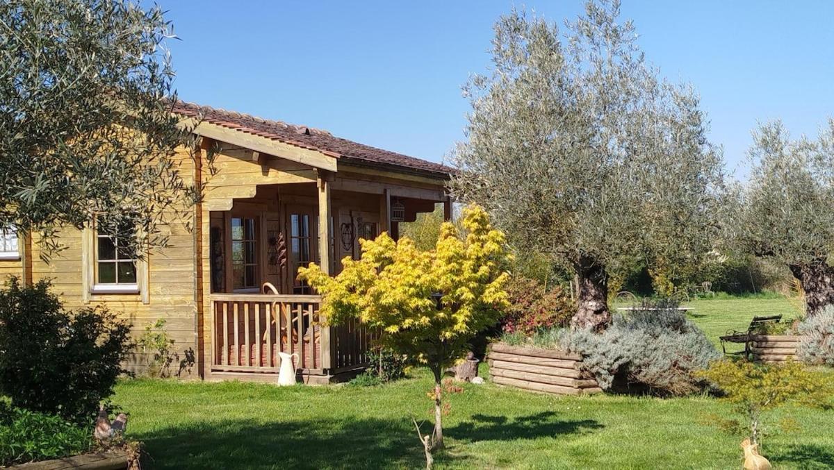 Chalet Bois Pleine Campagne A Pontigny Экстерьер фото