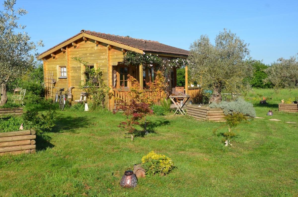 Chalet Bois Pleine Campagne A Pontigny Экстерьер фото