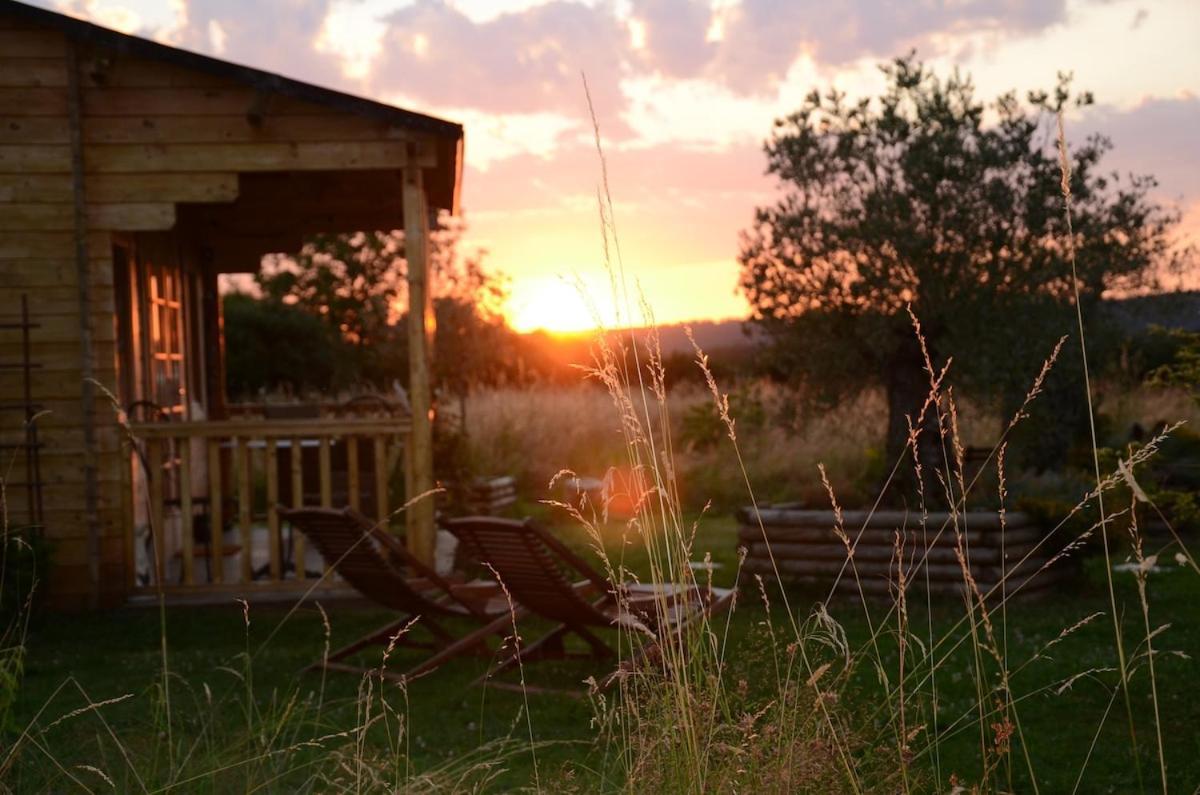 Chalet Bois Pleine Campagne A Pontigny Экстерьер фото